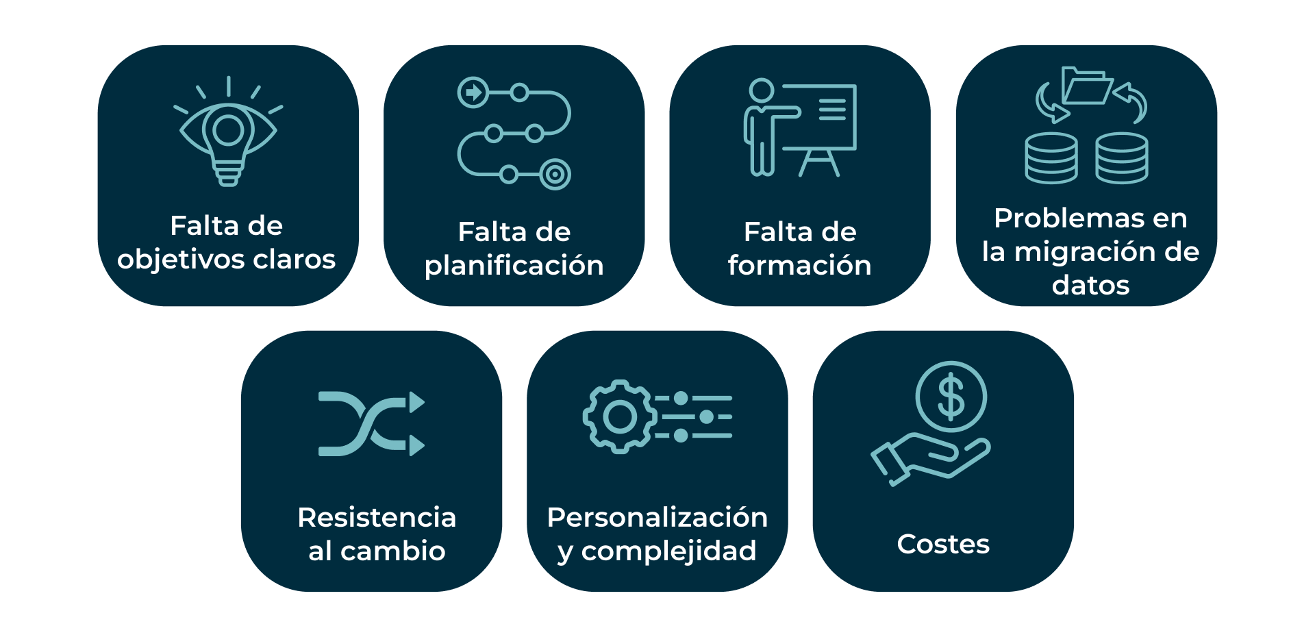 Problemas implementacion ERP